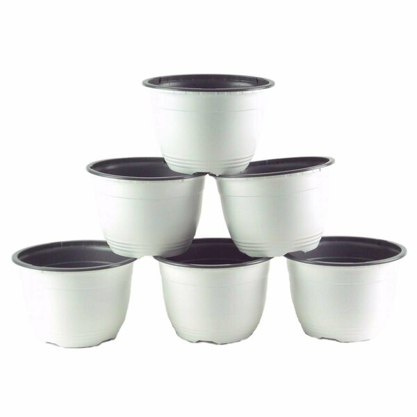 Curtilage 6 in. Plastic Pot White & Gray, 6PK CU2527877